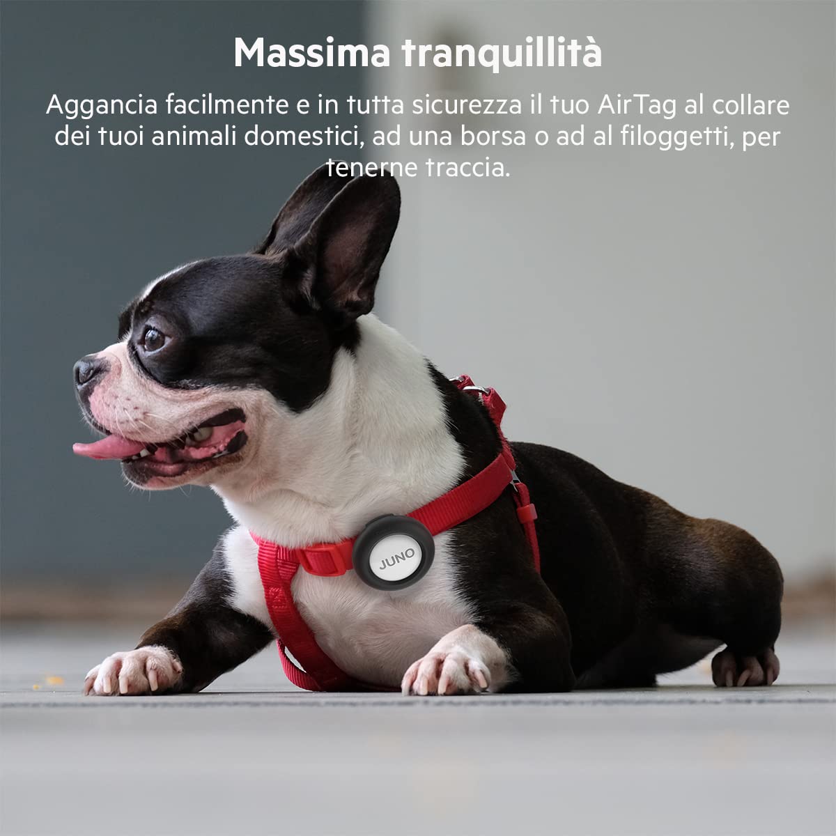 belkin-secure-holder-custodia-con-clip-per-apple-airtag-portachiavi-antigraffio- image 4