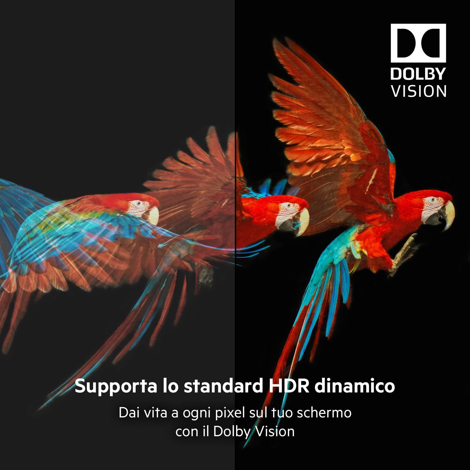 belkin-cavo-hdmi-2-1-premium-ultra-high-speed-2-m-4k-dolby-vision-hdr-48-gbps-ne image 4